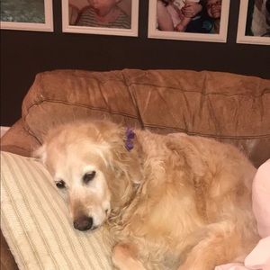 Meet your Posher, Brooke